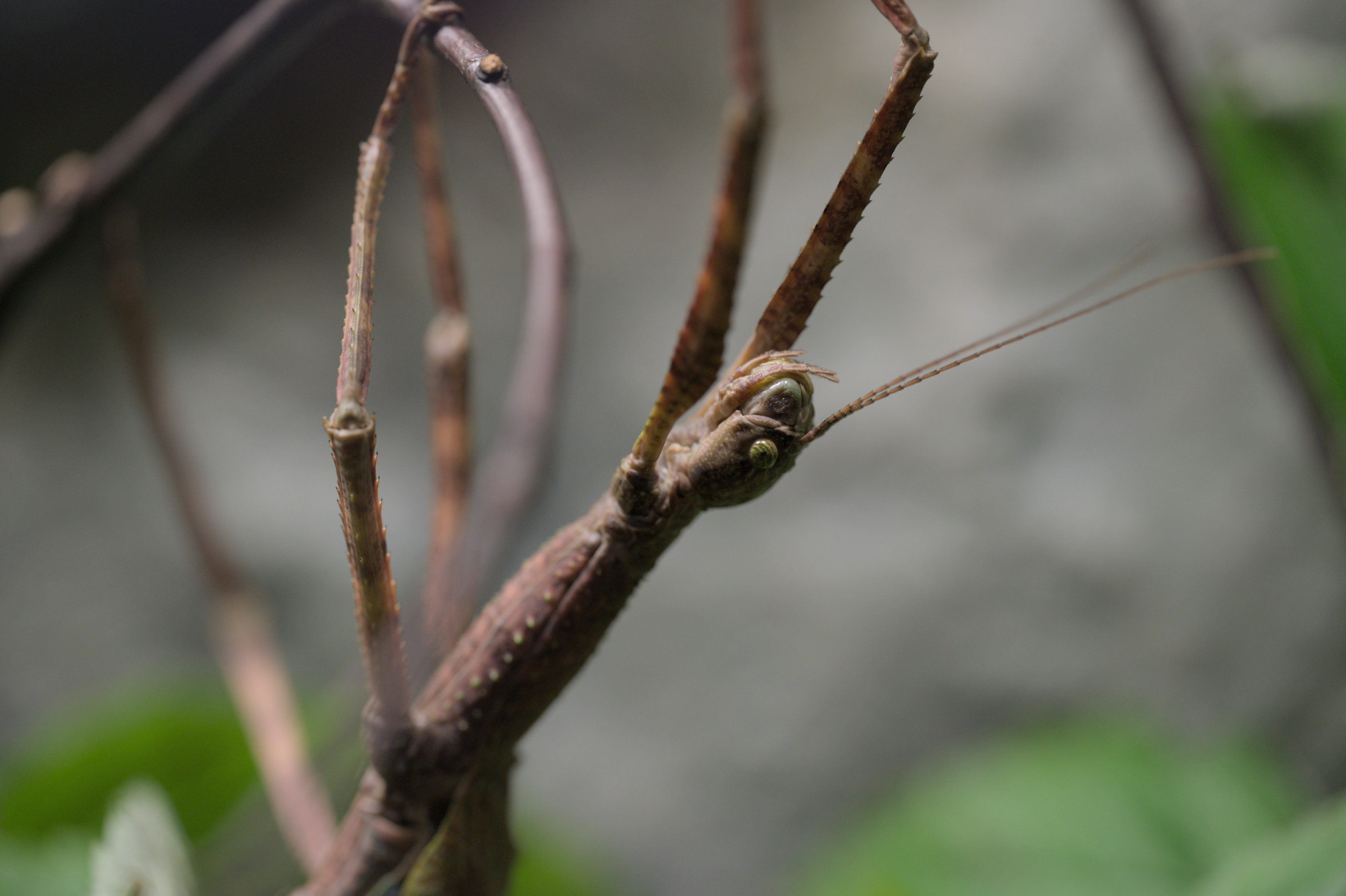 2025/10/12 - zoo/DSC_0199.jpg